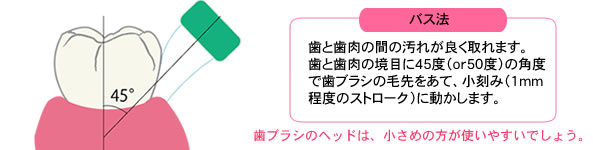 バス法